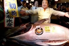 Ιδιοκτήτης εστιατορίου πλήρωσε 600.000 ευρώ για έναν τεράστιο τόνο