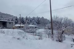 «Πνιγμένο» στο χιόνι το Λιβαδάκι [video]