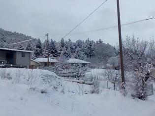 Φωτογραφία για «Πνιγμένο» στο χιόνι το Λιβαδάκι [video]