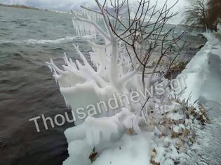 Φωτογραφία για Πάγωσε ολόκληρη η λίμνη της Καστοριάς - Δείτε εντυπωσιακές φωτογραφίες