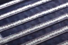 Βάζει ρύζι σε 11 σειρές στη ταράτσα και περιμένει. Ο λόγος; Δεν πάει το μυαλό σας…