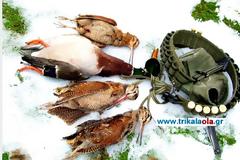 Απαγόρευση του κυνηγιού στο Νομό Τρικάλων από σήμερα!