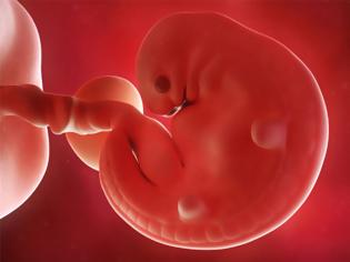 Φωτογραφία για Τι συμβαίνει στο έμβρυο κατά την έκτη εβδομάδα της κύησης