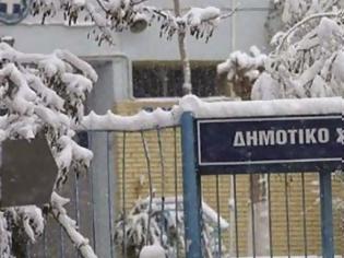 Φωτογραφία για Κλειστά τα σχολεία και την Τετάρτη στο Δήμο Ιστιαίας-Αιδηψού