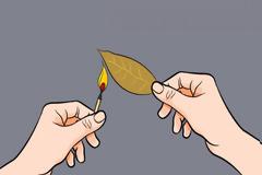 Δείτε τι θα συμβεί αν Κάψετε ένα φύλλο Δάφνης μέσα στο σπίτι και Περιμένετε για λίγα λεπτά… f