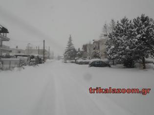 Φωτογραφία για Μισό μέτρο έφθασε το χιόνι στα Τρίκαλα. Έκκληση κατοίκων να ανοίξουν οι δρόμοι...