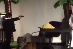 Μαθητές δημοτικού ανέβασαν σε θεατρικό τον… «Σημαδεμένο»