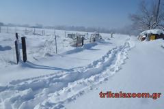 Σκληρή μάχη στα χιόνια δίνουν οι κάτοικοι της Λεπτοκαρυάς Τρικάλων να ταΐσουν τα ζωντανά τους