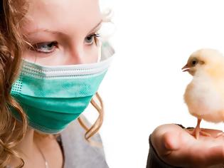 Φωτογραφία για ΚΕΕΛΠΝΟ: Συνάντηση για τη γρίπη των πτηνών