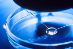 Συμπόσιο: Σημαντικές εξελίξεις στην εξωσωματική γονιμοποίηση