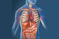 Αυτό είναι το πανίσχυρο φυσικό αντιβιοτικό που σκοτώνει όλα τα μικρόβια και τα βακτήρια