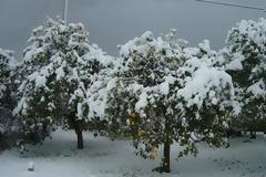 Αγρότες: Περιμένουν την κάθοδο Τσιρώνη