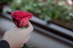 Θλίψη στους Ανεξάρτητους Έλληνες για τον θάνατο της Κατερίνας Μπακαούκα.