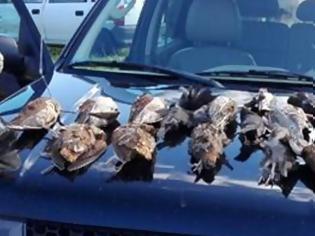 Φωτογραφία για Αιτωλοακαρνανία: «Θερίζουν» τα πουλιά παρά την καθολική απαγόρευση κυνηγιού
