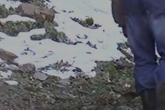 ΚΡΗΤΗ: Καταθέσεις επί… καταθέσεων για την δολοφονία του επιχειρηματία