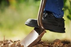 Γ. Τσιρώνης: Εντός των ημερών η προκήρυξη για το μέτρο «Βιολογικές Καλλιέργειες»