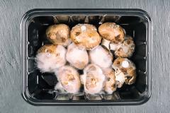 Τι θα συμβεί αν φας μουχλιασμένο φαγητό