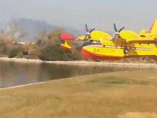 Φωτογραφία για Έτσι παίρνει ένα πυροσβεστικό αεροσκάφος νερό [video]