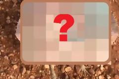 Εσύ τι θα έκανες αν σε κυνηγούσε ΑΥΤΟ;