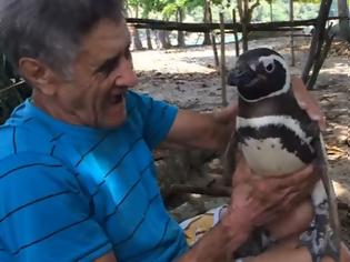 Φωτογραφία για Δείτε τι κάνει αυτός ο πιγκουίνος στον άνθρωπο που τον έσωσε! [video]