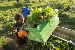 Στα 504 ευρώ η κατώτερη σύνταξη των αγροτών