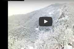 Η εναέρια πρωινή βόλτα του σκίουρου στα ορεινά της Καρδίτσας [video]