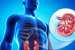 ΚΑΤΑΣΤΡΟΦΗ! Αυτές είναι οι τροφές δηλητήριο που καταστρέφουν τα νεφρά