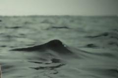 Ο πνιγμός αποδείχτηκε ....αυτοκτονία!