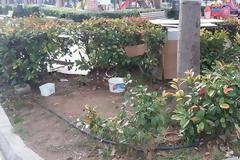 Η απόλυτη Ντροπή - Δήμος Αιγάλεω: Ξήλωσε τα σπιτάκια 3 αδέσποτων σκύλων χαρακτηριζοντας τα αυθαίρετα [photos]