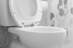 Έτσι θα διατηρείτε πεντακάθαρη την τουαλέτα σας!