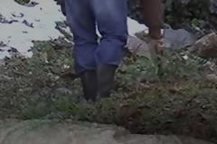 Δολοφονία Ιακώβου: «Ορφανό» γενετικό υλικό δείχνει τον… δρόμο για 4ο δράστη