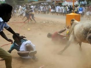 Φωτογραφία για 2 νεκροί σε φεστιβάλ ροντέο με ταύρους στην Ινδία