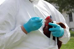 Γρίπη των πτηνών: Σε εγρήγορση ο ΠΟΥ – «Δεν έχουμε περιθώριο να χάσουμε τα προειδοποιητικά σημάδια»