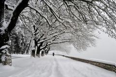 «Εισβολή» χιονιά από τη Ρωσία προβλέπει για την Πέμπτη ο Καλλιάνος