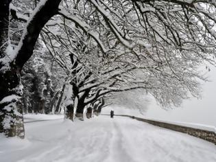Φωτογραφία για «Εισβολή» χιονιά από τη Ρωσία προβλέπει για την Πέμπτη ο Καλλιάνος