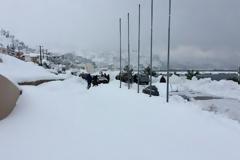 Κύμη: Ζώα σκασμένα από έλλειψη οξυγόνου και τσακισμένα δέντρα [video]