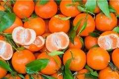 Δείτε τι μπορεί να συμβεί στο οργανισμό σας αν καταναλώνετε ένα ΜΑΝΤΑΡΙΝΙ καθημερινά...