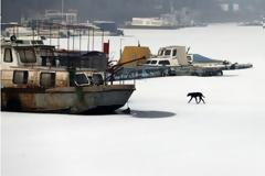 Πάγωσε ο Δούναβης σε τρεις χώρες!