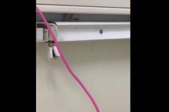 ΕΙΚΟΝΕΣ ΝΤΡΟΠΗΣ: Βίντεο της ΠΟΕΔΗΝ με κατσαρίδες σε δημόσιο νοσοκομείο