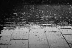 Νέος χιονιάς - Ποιες περιοχές θα πληγούν