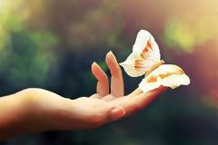 Πλάτων: Η αθανασία της ψυχής