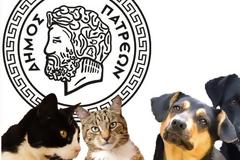 Διαμαρτυρία στις 31/1 έξω από το Δημαρχείο Πατρών για την αδιαφορία της δημοτικής αρχής για τ’ αδέσποτα