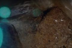 Κρήτη: Η ώρα της απολογίας για την κόκα και το σούπερ-ναρκωτικό έφτασε