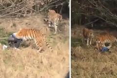 Έχασε τη ζωή του για να γλιτώσει 18 ευρώ