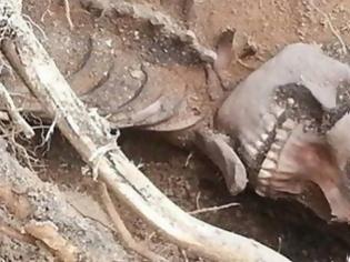 Φωτογραφία για Βρέθηκε ανθρώπινος σκελετός στο Ηράκλειο