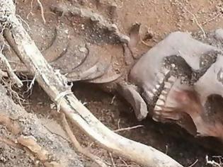 Φωτογραφία για Ανατροπή δεδομένων για τον σκελετό που βρέθηκε σε παραλία στο Ηράκλειο