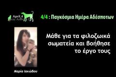 Παγκόσμια Ημέρα Αδέσποτων...