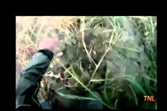 Απίθανες γκάφες & ατυχήματα Απριλίου 2012 [Video]