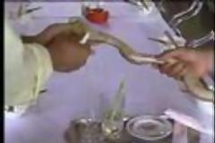 Εστιατόριο Φιδιών στο Βιετνάμ ( ΒΙΝΤΕΟ ) ...!!!