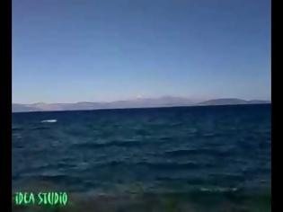 Φωτογραφία για SEA